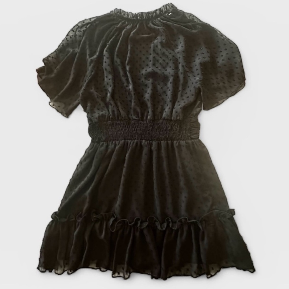 Zara Swiss Dot, Neck Ruffled, Sheer Sleeve, Mini Short Dress, Black, Size M - Picture 5 of 10